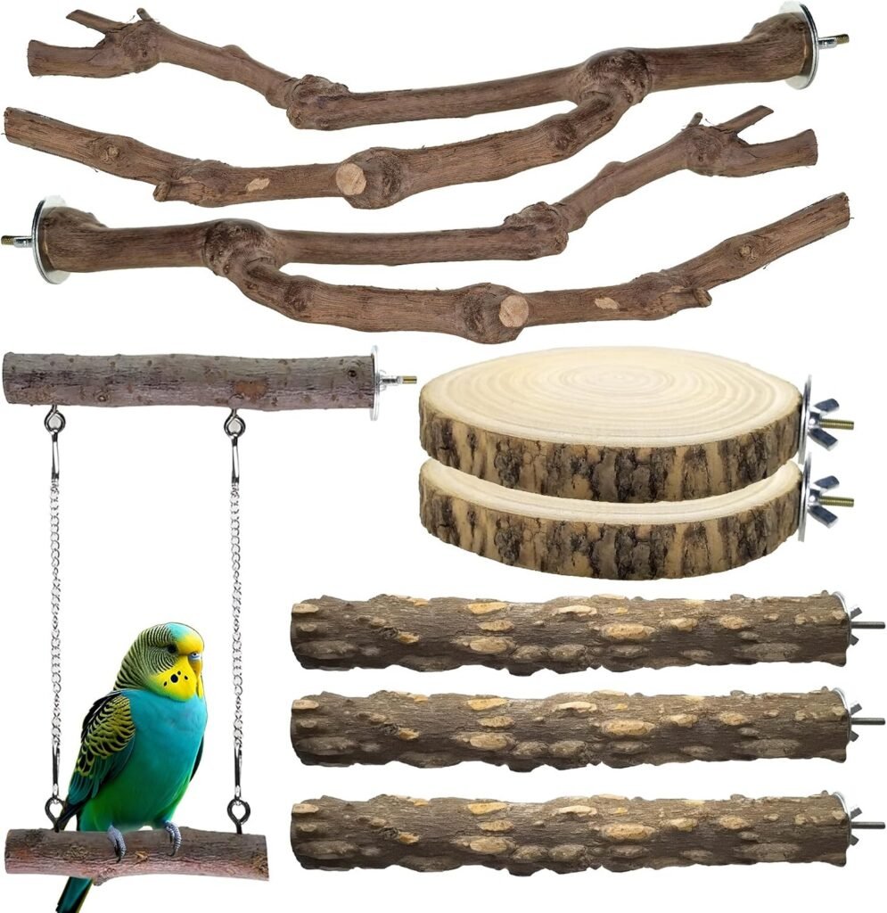 Bird Perches