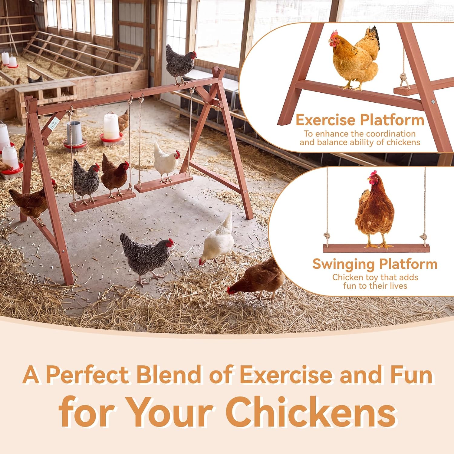 PETSFIT Wooden Solid Chicken Perch & Roosting Bars with 2 Swings, 50"x30"x34" Coop Toy for 6–8 Hens, Multi-Level Stand Encourages Exercise & Natural Behavior, Easy to Assemble & Clean,Outdoor Use - Image 2