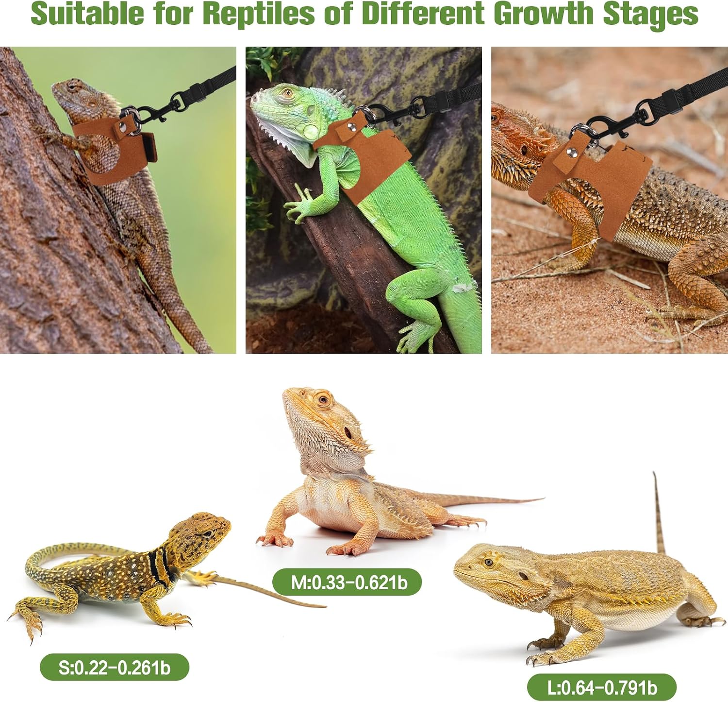 Bearded Dragon Harness Leash Set 3 Size Adjustable Lizards Training Walking Leather Vest Escape-Proof Traction Rope for Outdoor Small Reptiles Animal Squirrels (Brown) - Image 5