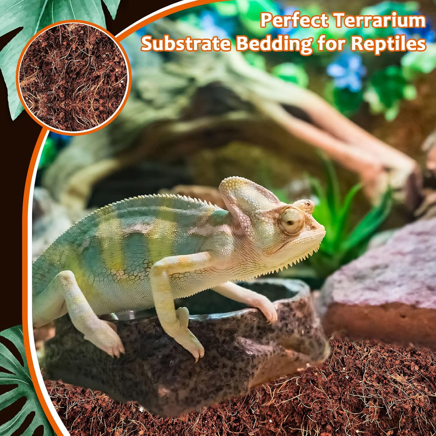 Riare 2 Pack Natural Coconut Fiber Substrate for Reptile- Premium Compressed Coconut Husk Terrarium Bedding for Reptile, Tortoise, Frogs, Snakes Hermit Crabs, Burrowing Animals - Image 7