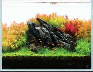 UNS Ultra Clear Rimless Tank –...