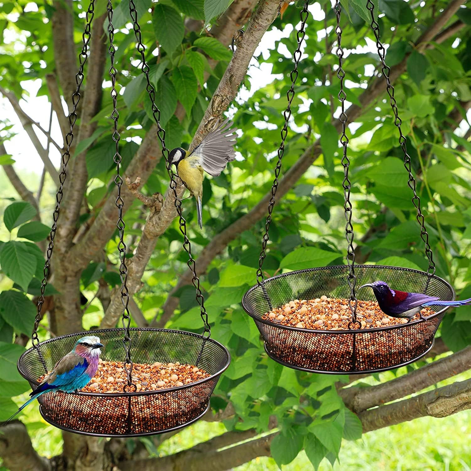 Bird Feeder, Hanging Bird Feeders for Outdoors Metal Mesh Birdfeeder Tray | Metal Mesh, Birdfeeder Tray - Image 6