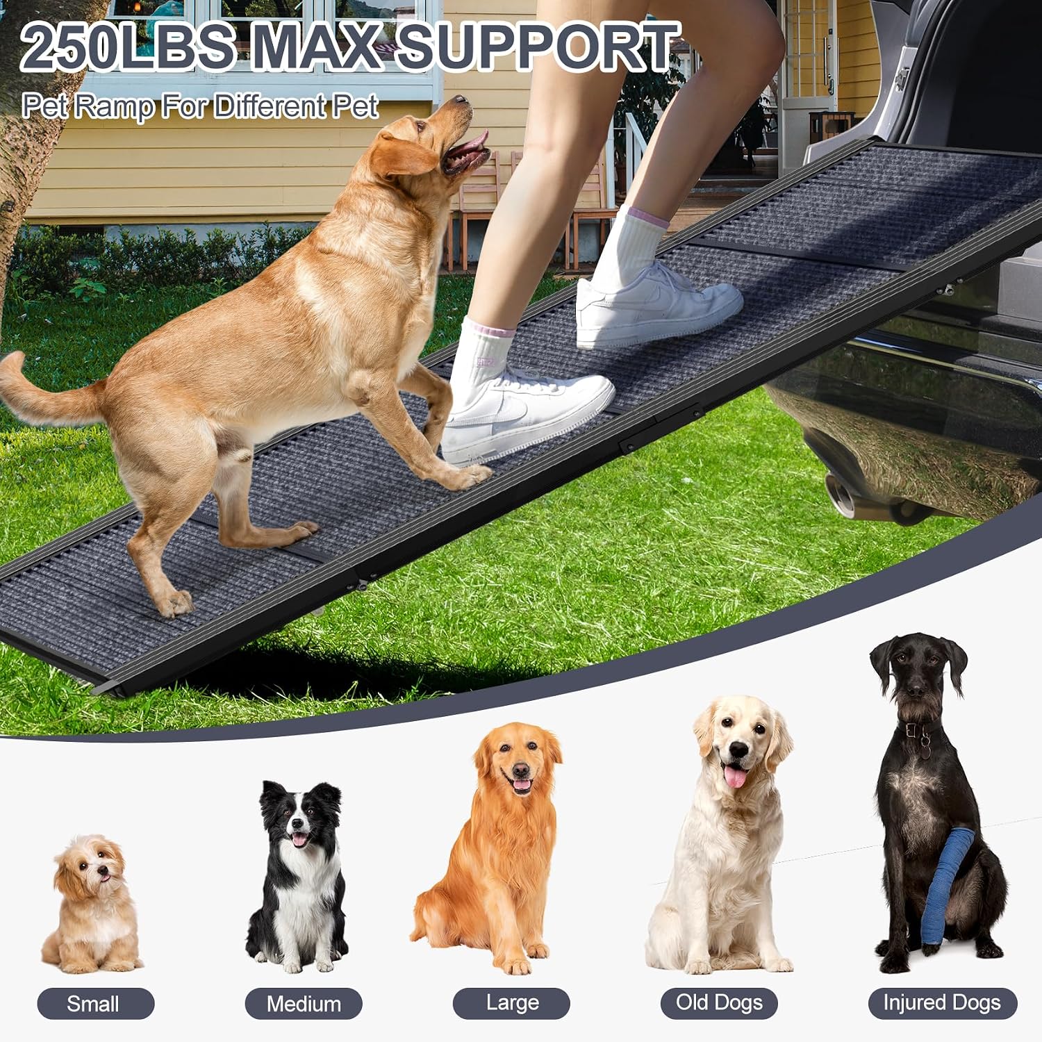 Dog Ramp for Car 63" Long & 17" Wide Portable Dog Ramps for Large Dogs with Non-Slip Rug Surface Dog Car Ramp for SUV Car & Truck, Folding Dog Ramp Up to 250LBS - Image 2