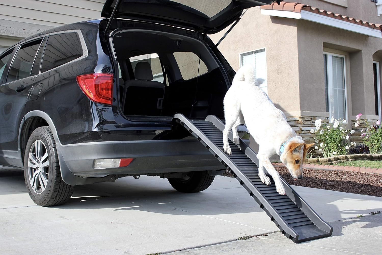 PawStep 61" Folding Pet Ramp, Portable Dog Ramp for Cars, SUVs, Beds & Couches, Lightweight PP Construction, Textured Surface, Optional Carpet for Added Traction, 165 lb Capacity (50524) - Image 8