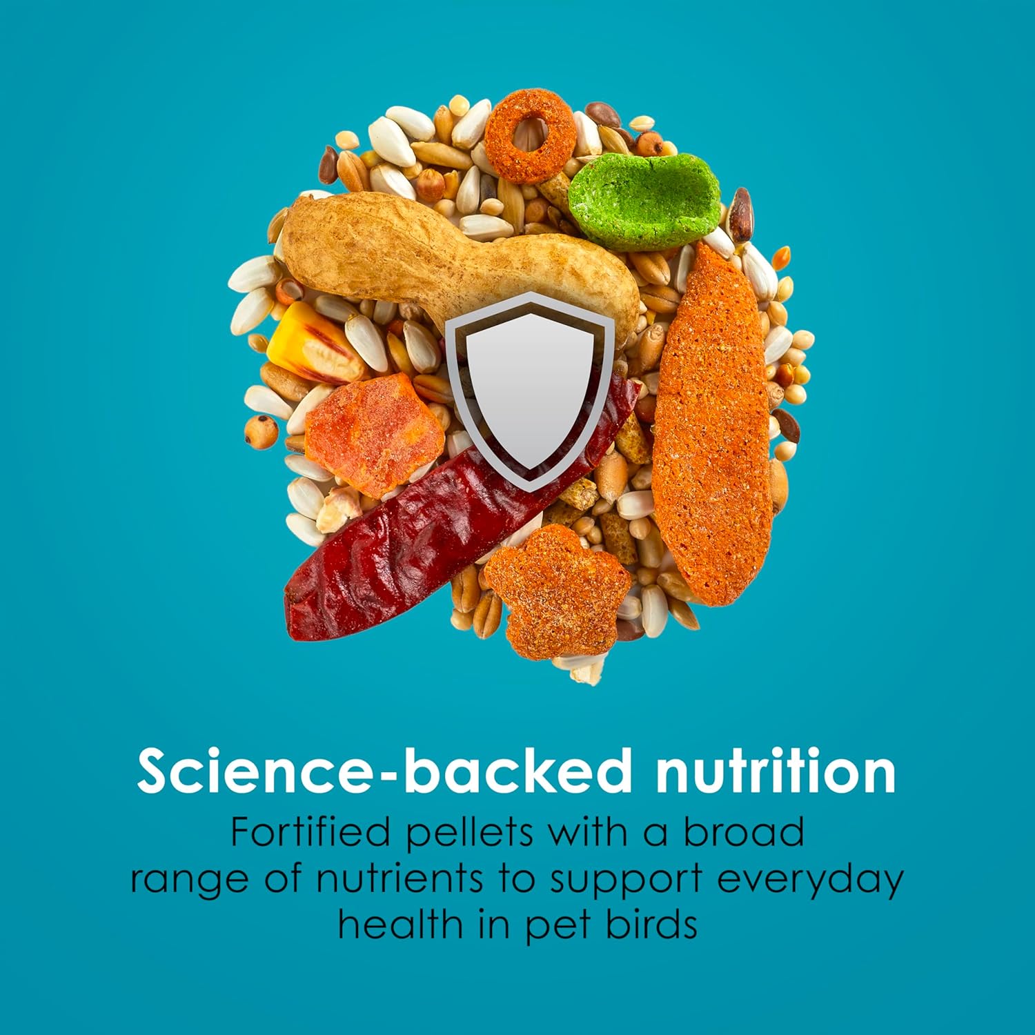 Kaytee Forti-Diet Pro Health+Safflower Nourish+Protect Parrot Food, Supports Breeding and Molting, Nutrition Backed by Science, Digestive and Brain Health, 4 pounds - Image 7