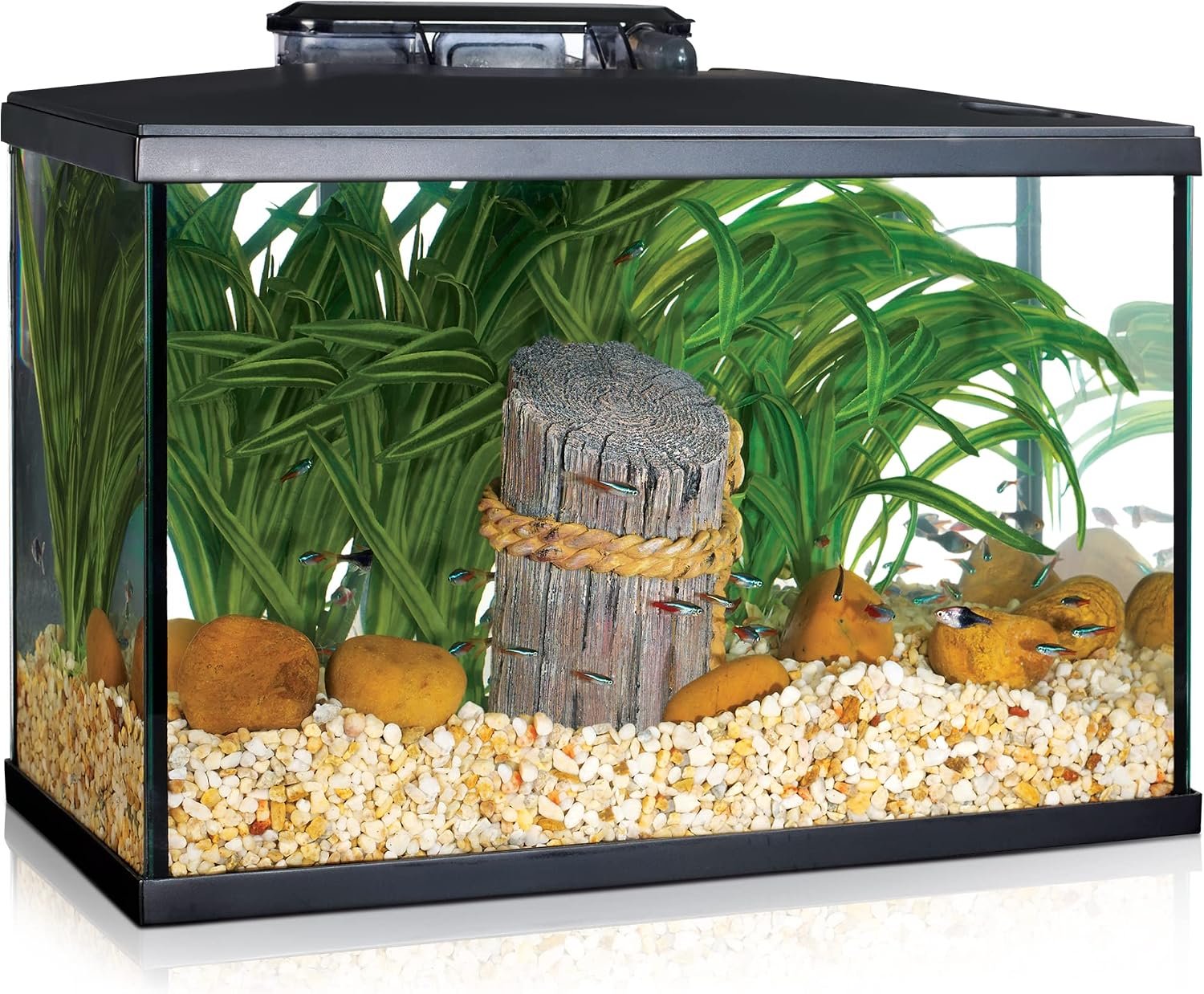 Marina 5 Gallon (19 L) LED Aquarium...