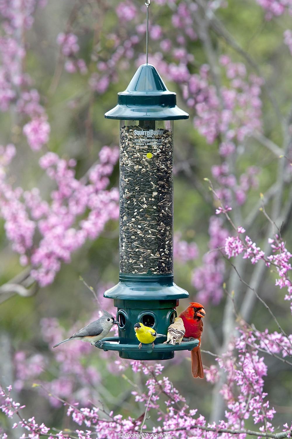 Squirrel Buster Plus Squirrel-proof Bird Feeder w/Cardinal Ring and 6 Feeding Ports, 5.1-pound Seed Capacity, Adjustable, Pole-mountable (POLE ADAPTOR SOLD SEPARATELY), Green | Squirrel-Proof Weight-Activated Shroud, Cardinal Ring, 6 Ports, 5.1 Lb Capacity, Adjustable Tension, Detachable for Cleaning - Image 8