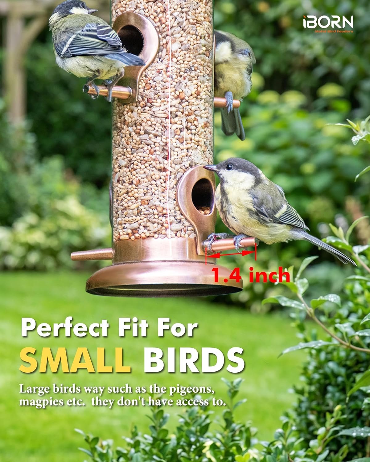 iBorn Metal Bird Feeders Brushed Copper Wild Bird Feeder for Outdoors Hanging All Metal Brushed Copper Finishing 15 Inch 6 Port(Seed is not Included) | Metal, Durable Outdoors, Flip-top Easy Refill & Clean, Clear Seed View, Suits Mixed Seeds, Brushed Copper - Image 8