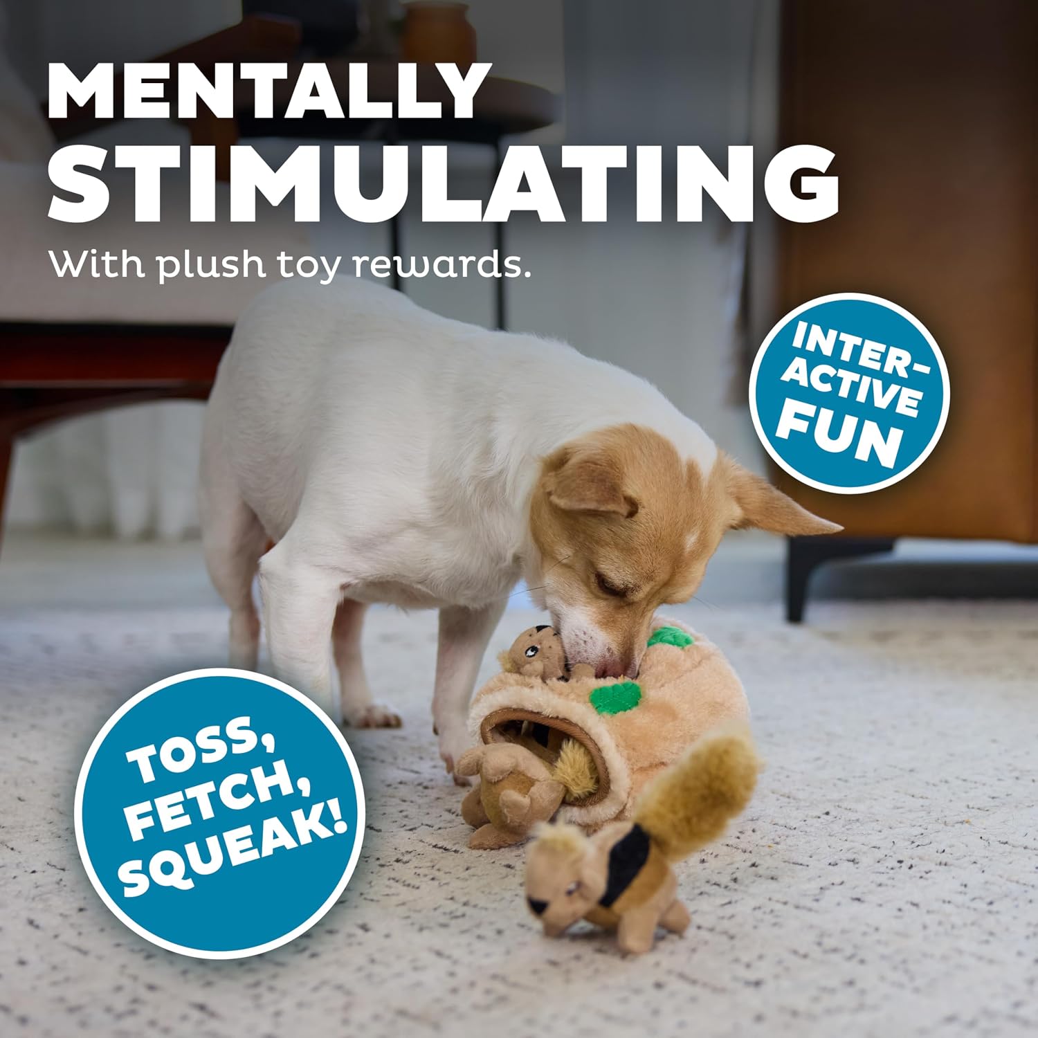 Outward Hound Hide-A-Squirrel Dog Toy – Interactive 2‑in‑1 Plush Puzzle with 3 Squeaky Removable Squirrels, Small - Image 4