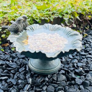 Bird Baths for Outdoors, Resin Pede...