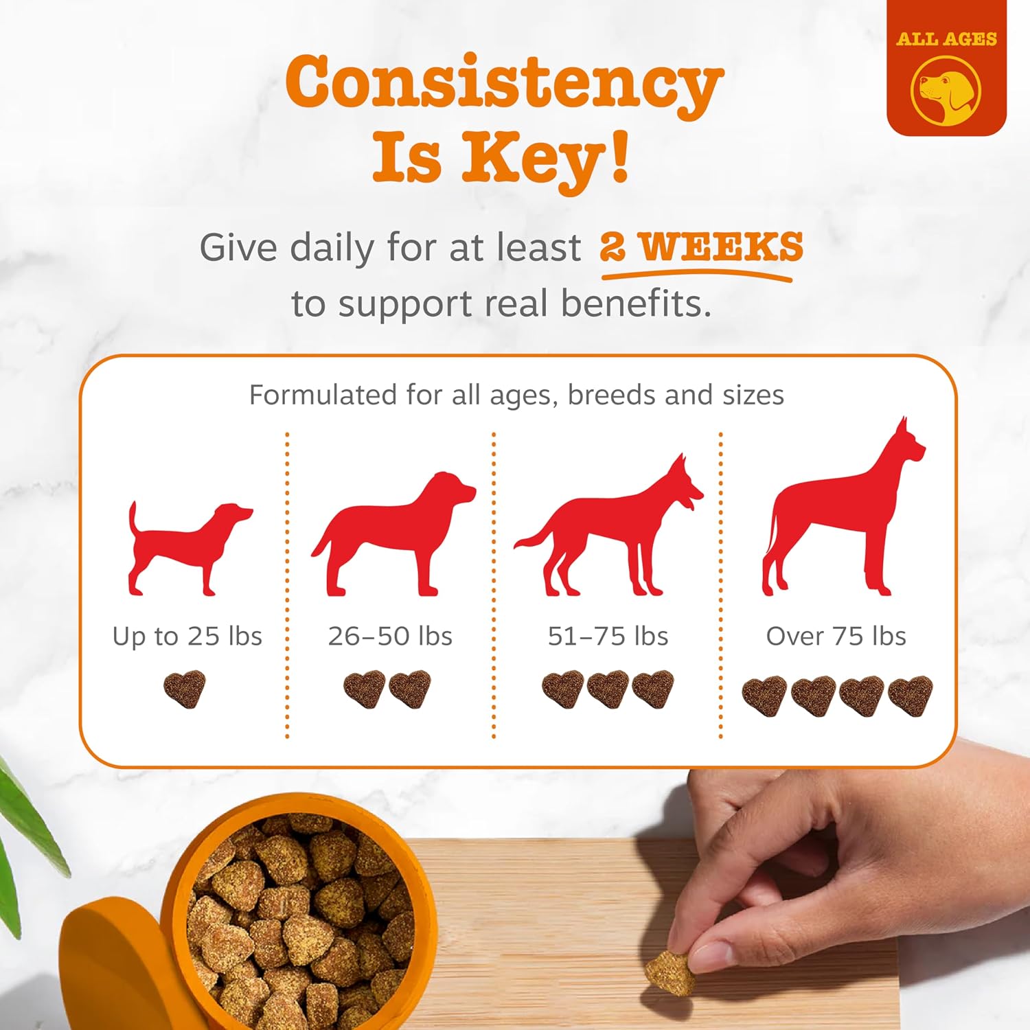 Zesty Paws Dog Allergy Relief Chews, Dog Probiotics for Itchy Skin and Ears, Salmon, 90ct - Image 4