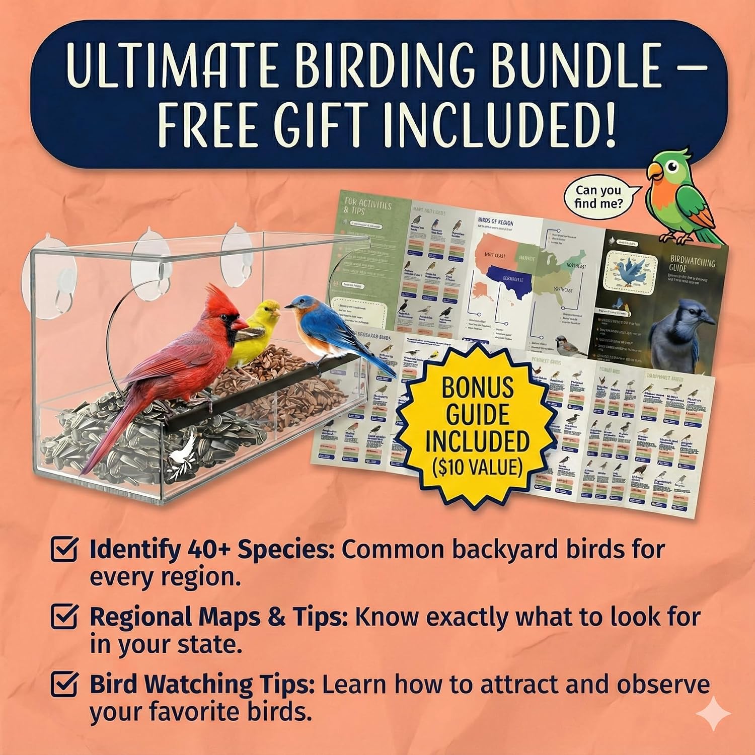 Window Bird Feeder by Nature's Hangout - No Assembly, Strong Suction Cups | Acrylic Bird Feeders for Outside Bird Watching for Cats Easy-to-Clean Birdhouse Bird Feeder for Window Viewing Slide-out Tray - Image 8