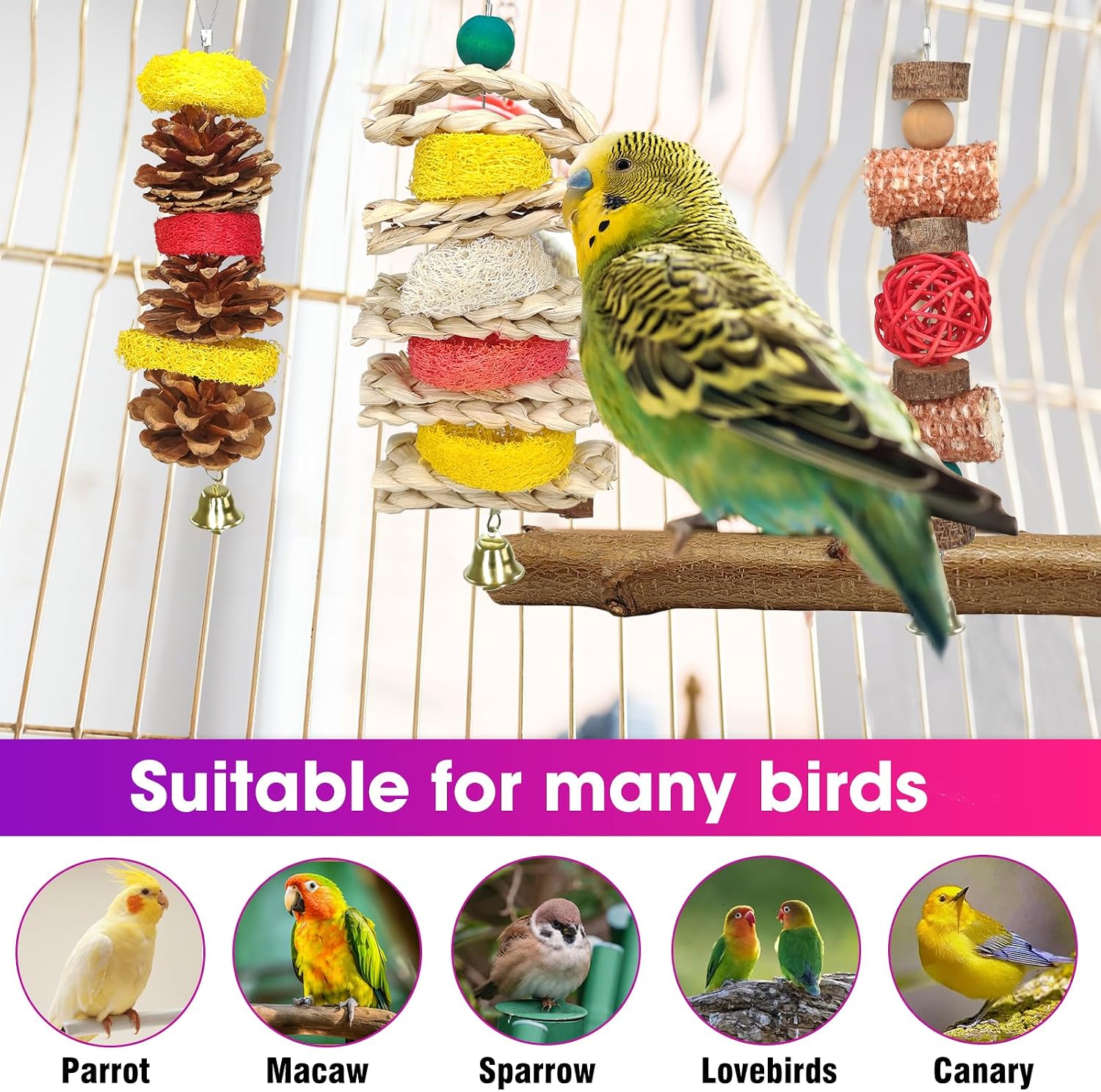 JOREWOOD 7 Pcs Natural Wood Bird Toy & Perch for Parakeets, Cockatiel & Lovebird, Budgie Play Accessory for Small Parrots Indoor Cage - Image 6