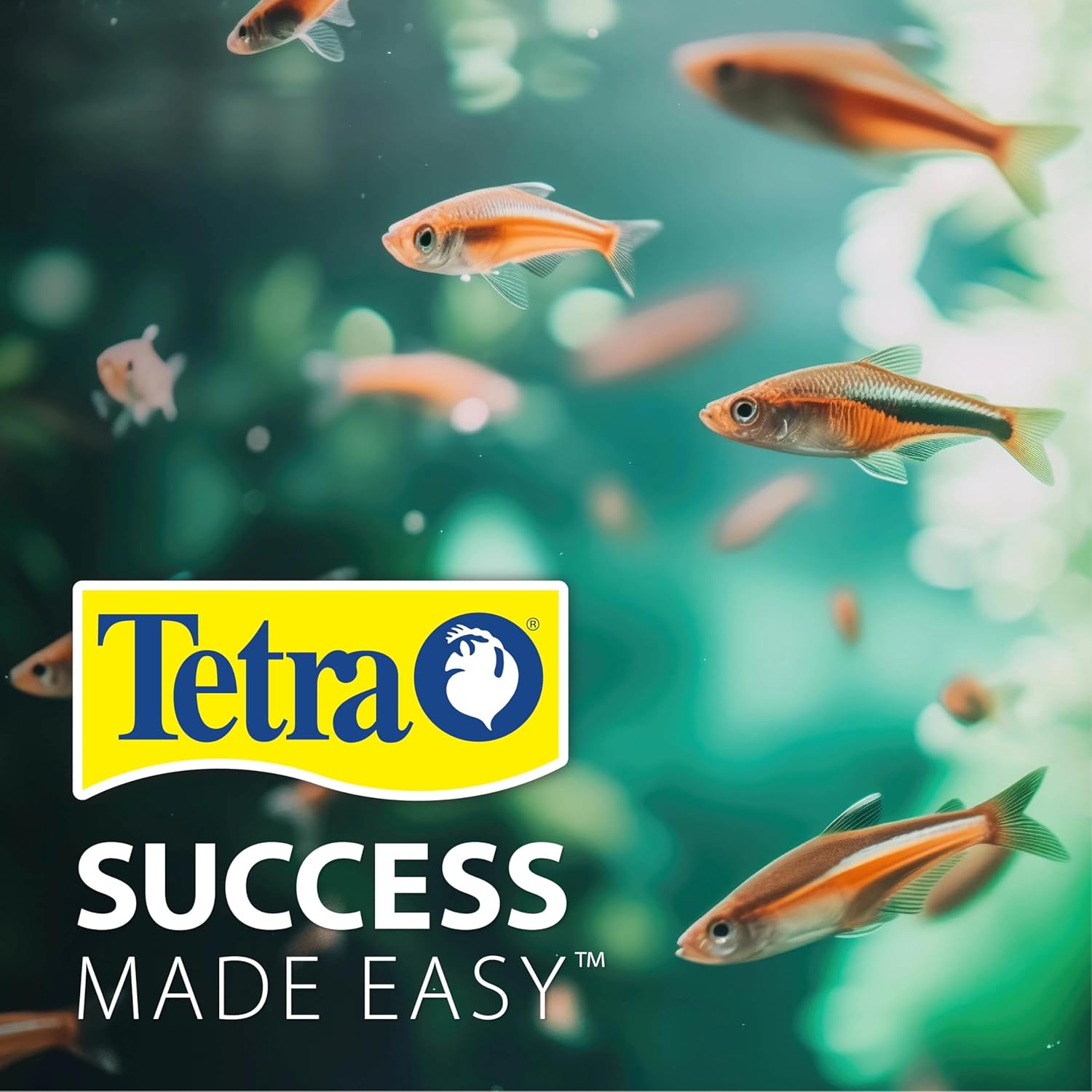 Tetra Aquarium, 20 Gallon, Complete Tropical Fish Tank Kit With LED Lighting And Decor For Freshwater Fish - Image 15