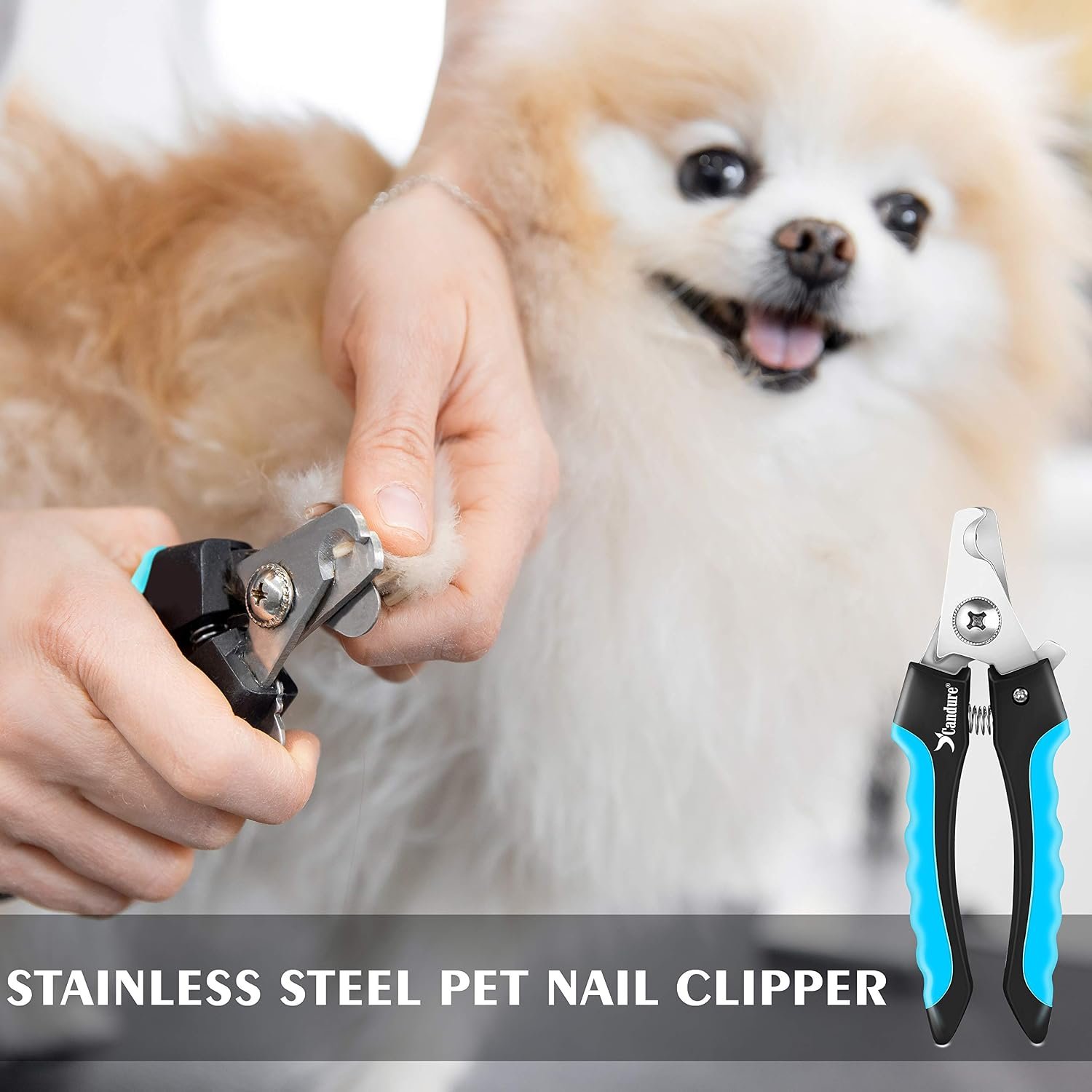 Candure Dog Nail Clippers and Trimmer with Safety Guard to Avoid Over-Cutting Toe Nails, Professional Grooming Pet Nail Clipper with Nail File for Small, Medium & Large Breeds | Pet Dog and Cat Nail Clipper - Image 4