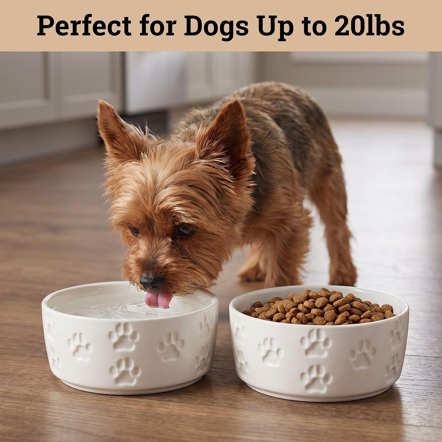 Ceramic Dog Bowl Set of 2 with Anti-Skid Base, 5.5"W x 2"H, 2 Cup Capacity | Thick Ceramic, Dishwasher Safe, Anti-Skid Rubber Base, 2 Cups per Bowl, Ceramic Food and Water Bowls Set of 2 for Small Dogs - Image 3