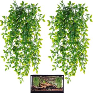 HERCOCCI Reptile Plants, 2 Pack Ter...