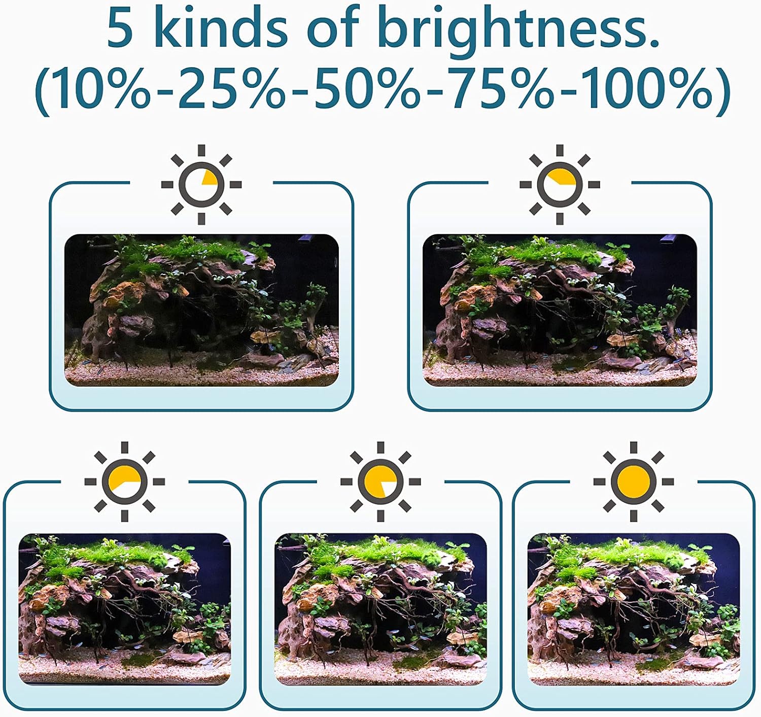 hygger Clip On 24/7 Lighting Aquarium LED Light,Sunrise-Daylight-Moonlight and DIY Mode, Adjustable Timer/Brightness Fish Tank Light with 7 Colors for Planted Tank (14W for 12~20in Tank) - Image 7