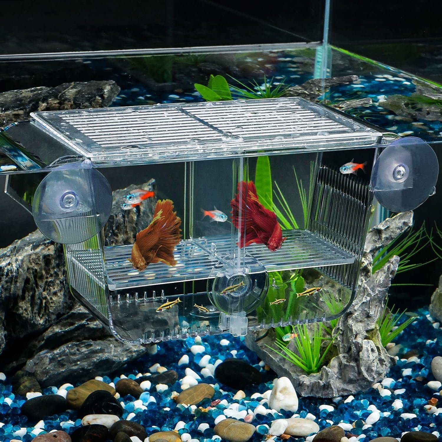 Pawfly Aquarium Fish Breeding Box, ...