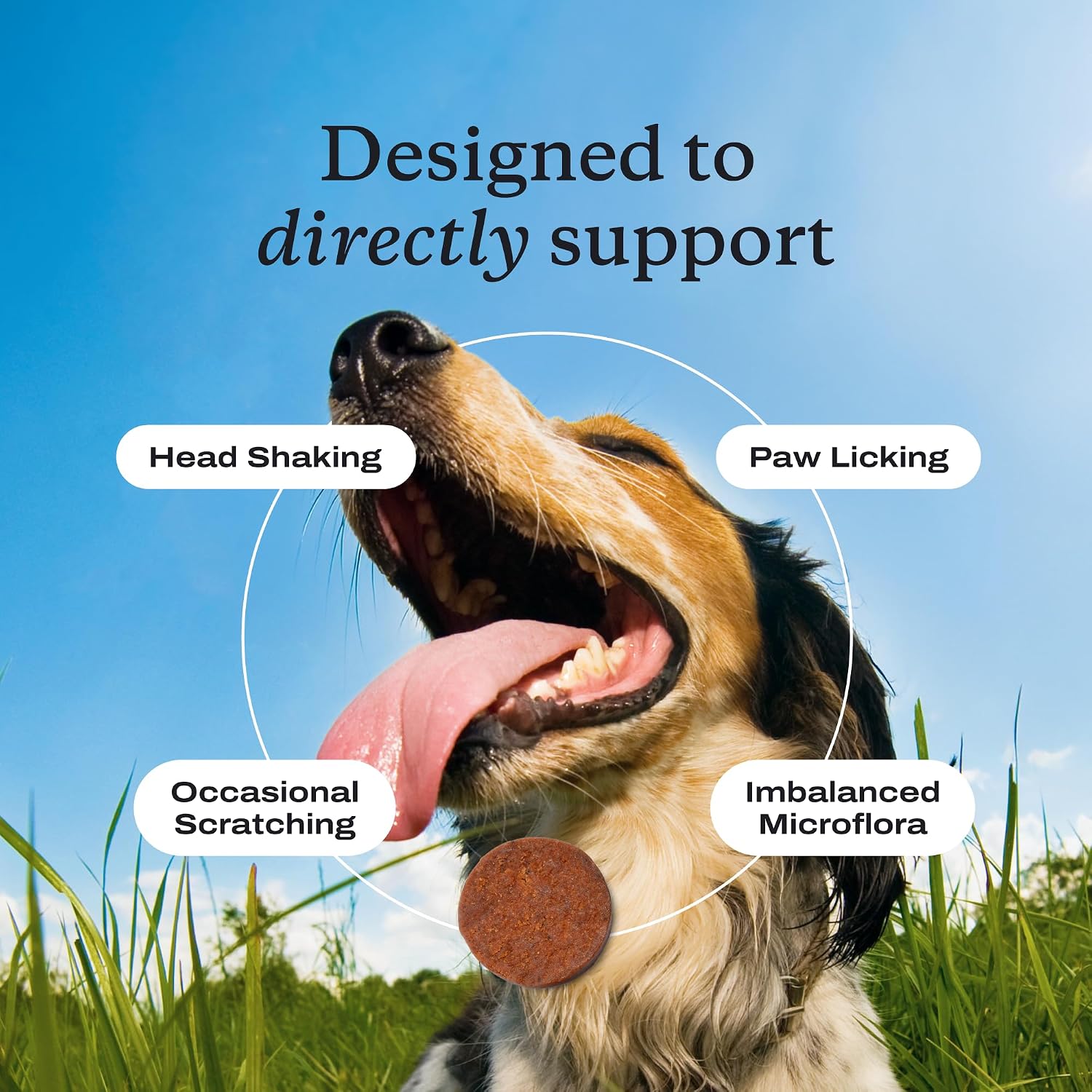 PetLab Co. Allergy & Immune Probiotic Chews, 30 Soft Chews, Pork | Omega-3s, colostrum and prebiotics to support yeast balance, skin health and immune function - Image 2