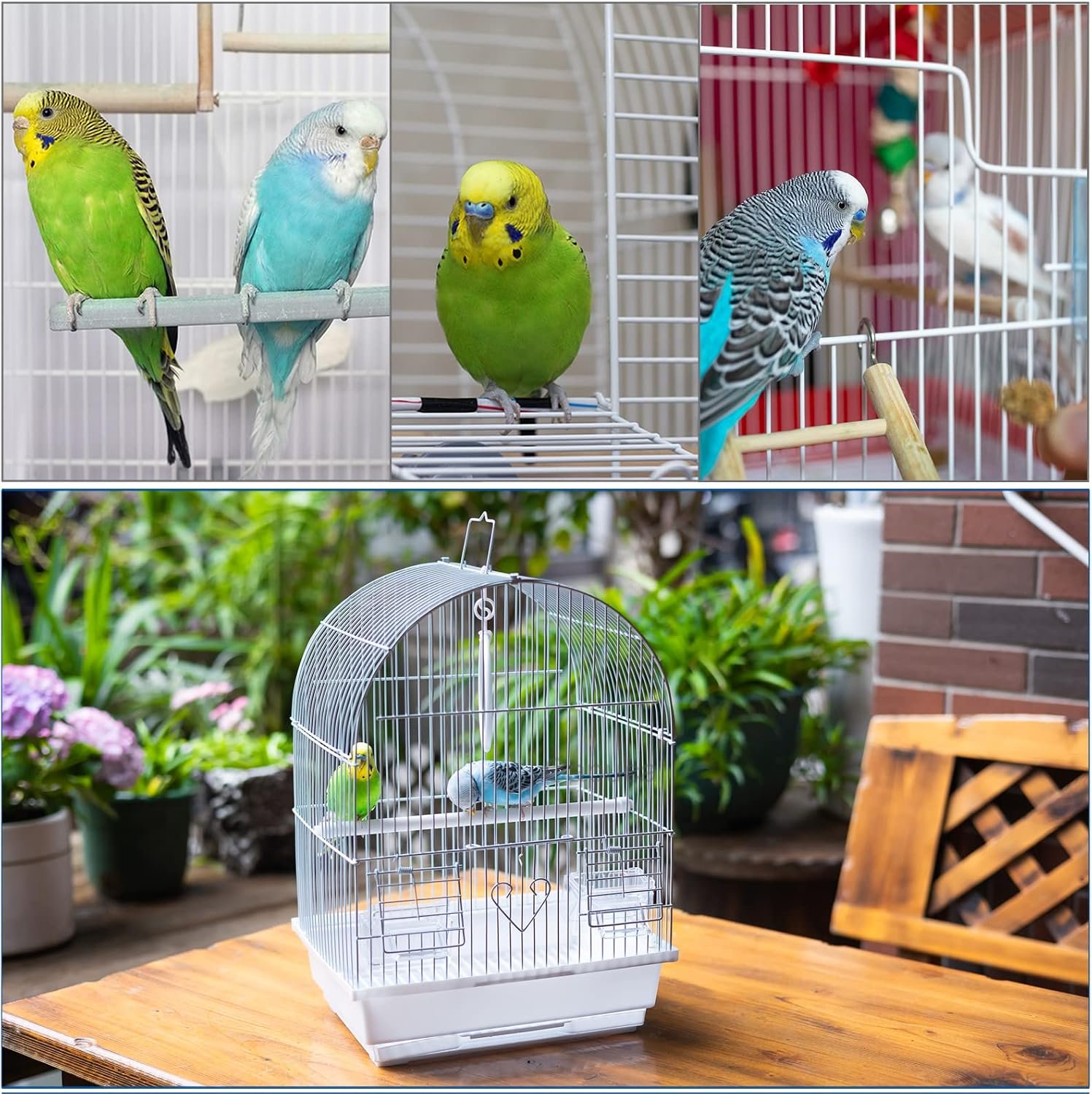 Small Bird Travel Cage - Lightweight Small Birds Starter Kit with Birdcages and Accessories Great for Parakeets Lovebirds Parrotlets Finches Canaries - Image 6