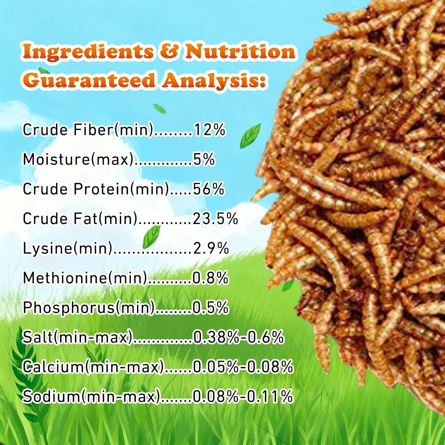 Amzey Dried Mealworms 11 LBS - 100% Natural for Chicken Feed, Bird Food, Fish Food, Turtle Food, Duck Food, Reptile Food, Non-GMO, No Preservatives, High Protein and Nutrition - Image 3