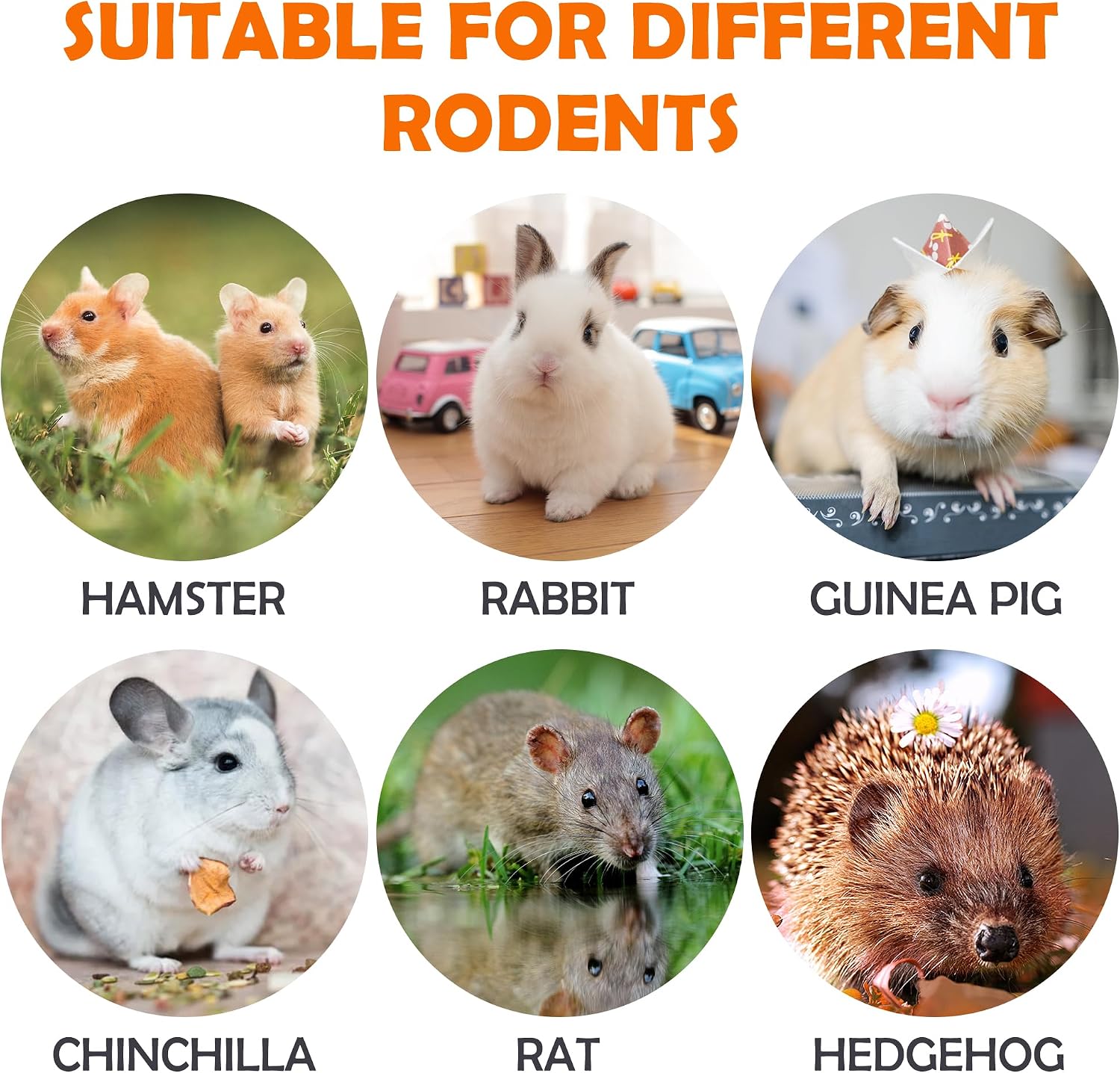 Sofier Timothy Hay Treats Rabbit Toys Bunny Guinea Pig Hamster Natural Chews for Teeth Handmade Rabbit Chews and Treats Chinchilla Rat Gerbil - Image 5
