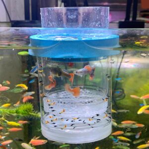 middlefloatingbreederbox Breeder Bo...