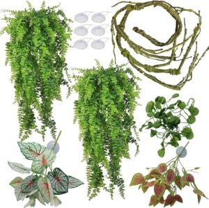 Reptile Plants for Bearded Dragon T...