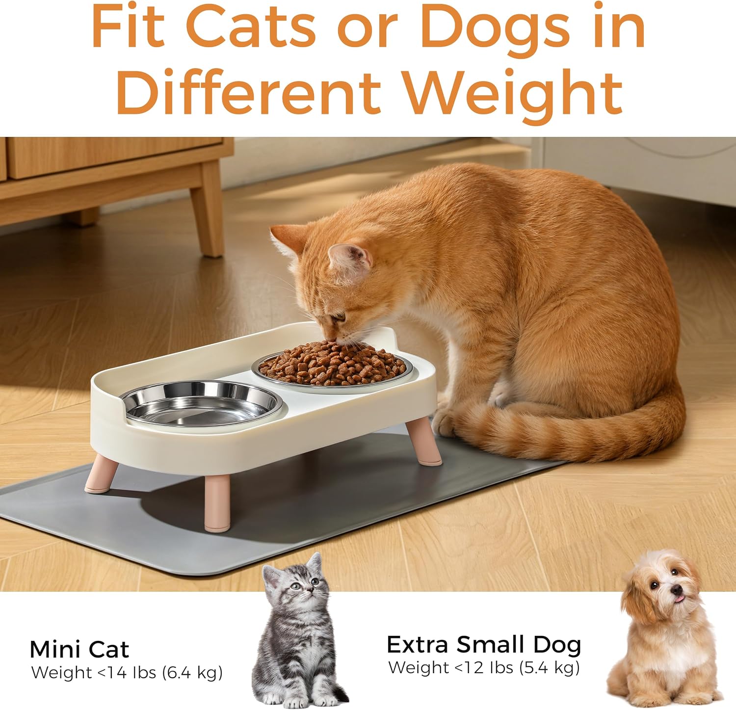 LoeJan Elevated Cat Bowls Set - Raised Cat Food and Water Bowl Set with Non Slip Stand - Pet Feeding Station with 2 Stainless Steel Bowls with Splash Proof Guard - Image 4