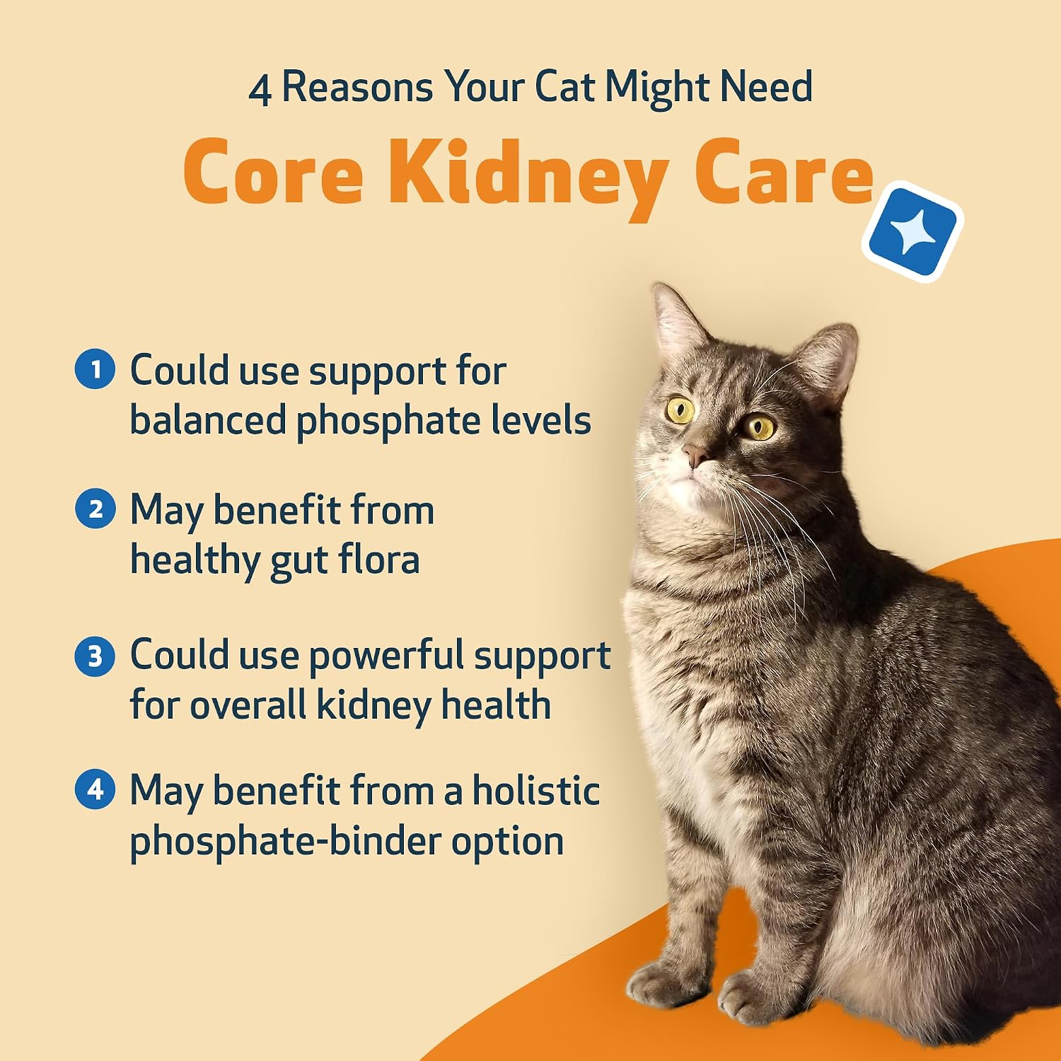 Pet Wellbeing Core Kidney Care for Cats - Daily Phosphate Binder, Supports Healthy Kidney Function with FOS, Chitosan, Probiotics - Veterinarian-Formulated 5.08 oz (144 g) Powder - Image 2