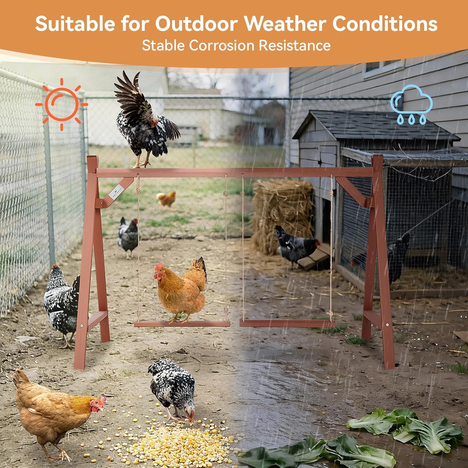 PETSFIT Wooden Solid Chicken Perch & Roosting Bars with 2 Swings, 50"x30"x34" Coop Toy for 6–8 Hens, Multi-Level Stand Encourages Exercise & Natural Behavior, Easy to Assemble & Clean,Outdoor Use - Image 6