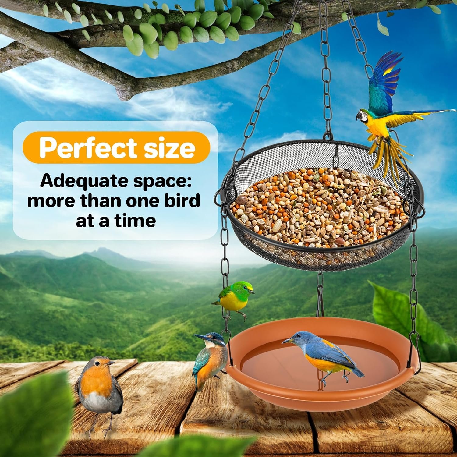 RAINFLOW Hanging Bird Bath Feeder - 2 in 1 Outdoor Water Tray for Backyard | Platform Bird Feeder for Outside Garden Patio, Attracts Wild Birds, Spring Summer Decor, Bird Lover Gift, Easy Hanging Set - Image 3