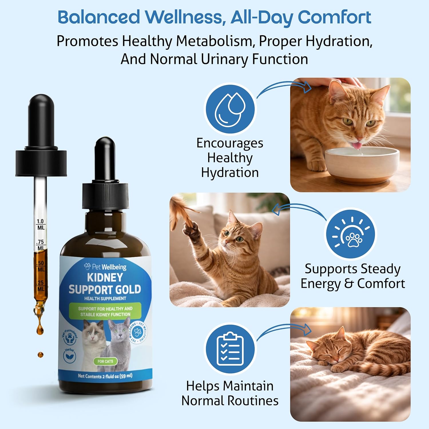 Pet Wellbeing Kidney Support Gold for Cats - Supports Normal Kidney Function & Detox, Healthy Hydration & Energy with Rehmannia & Dong Quai - NASC Certified & Vet-Formulated - 2oz Liquid Formula - Image 2