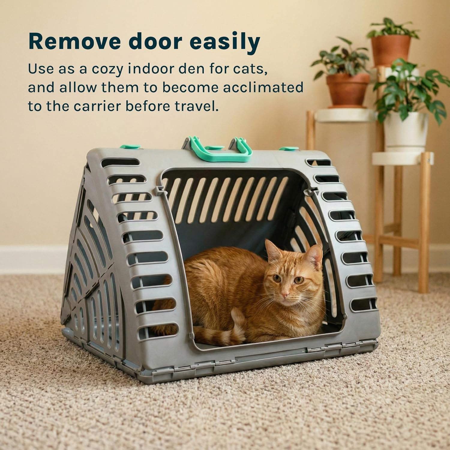 SportPet X-Large Hard-Sided Travel Cat Carrier - Cat Carrier with Patented Wide Side-Opening Door, Foldable Portable Pet Carrier for Cats & Small Pets up to 35lbs - Dark Gray/Teal - Image 7