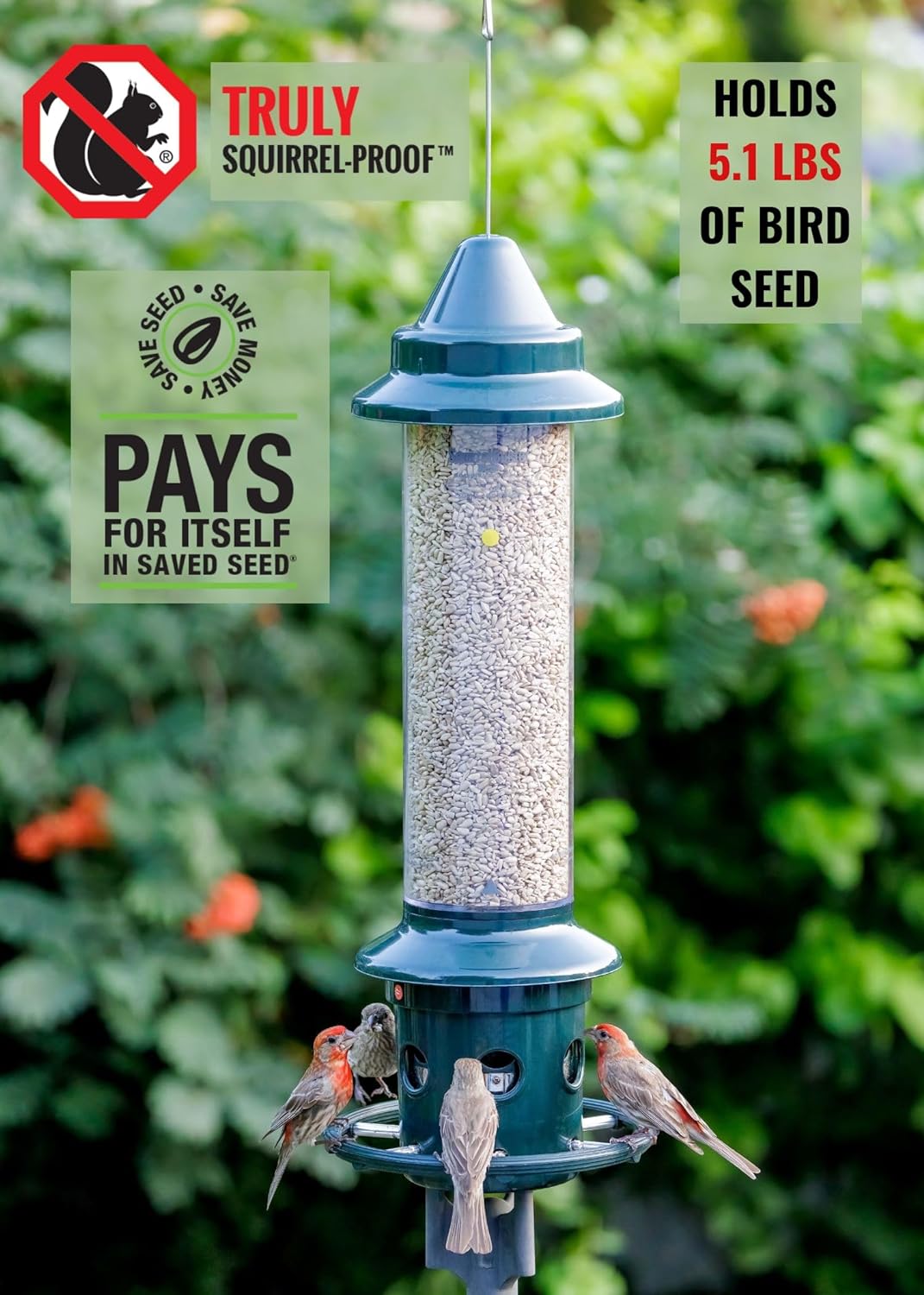 Squirrel Buster Plus Squirrel-proof Bird Feeder w/Cardinal Ring and 6 Feeding Ports, 5.1-pound Seed Capacity, Adjustable, Pole-mountable (POLE ADAPTOR SOLD SEPARATELY), Green | Squirrel-Proof Weight-Activated Shroud, Cardinal Ring, 6 Ports, 5.1 Lb Capacity, Adjustable Tension, Detachable for Cleaning - Image 3