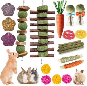 Jorewood 21 Pcs Rabbit Chew Toys fo...