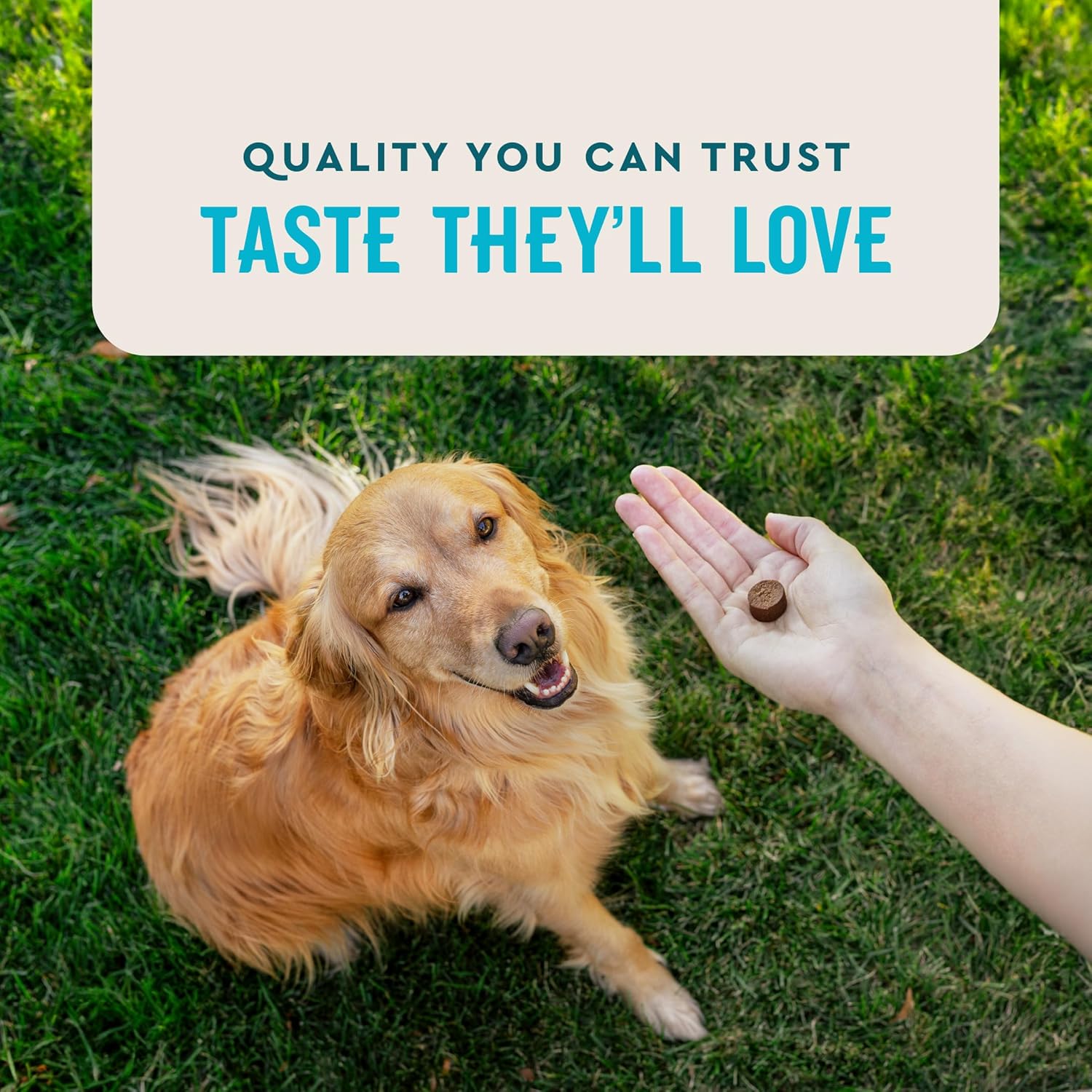 VetIQ Glucosamine Hip & Joint Supplement for Dogs, 180 Soft Chews, Joint Support Supplement with MSM and Krill, Dog Health Supplies Large & Small Breed, Chicken Flavored Chewables | Supports mobility for large & small breeds; glucosamine, MSM & krill oil; chicken-flavor chewable; daily joint support - Image 5