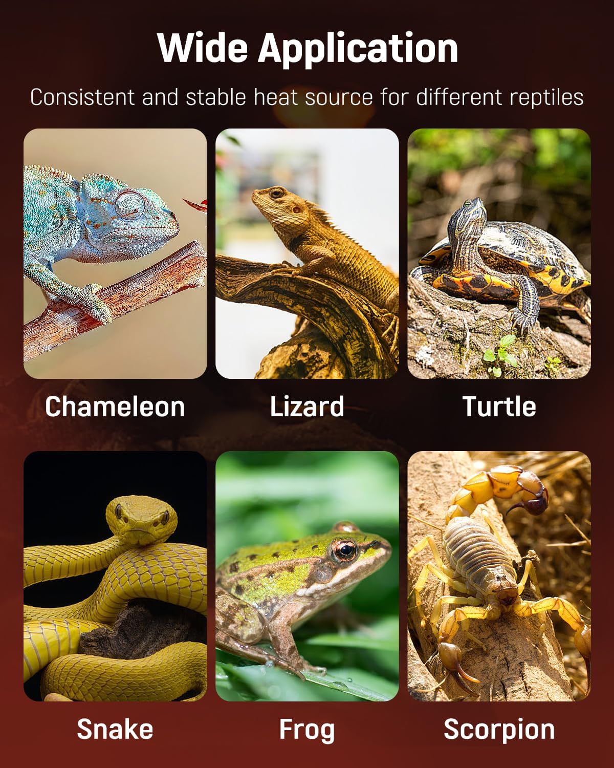 Pawfly 5 W Reptile Heat Pad 6 x 5.5 Inch Reptile Heating Pad Under Tank Terrarium Safe Fast Heating Mat Heat Mat for Turtles Frogs Snakes Lizards Geckos Hermit Crabs Spiders & Other Reptiles - Image 7