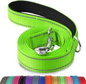 Joytale Reflective Dog Leash for Me...