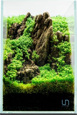 UNS Ultra Clear Rimless Tank –...
