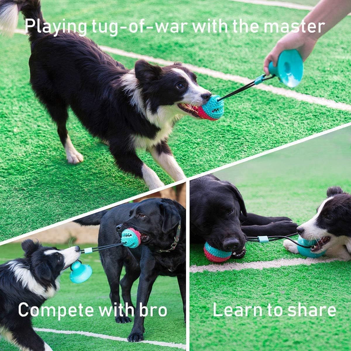 ALLRIER Dog Toys to Keep Them Busy for Boredom,Interactive Dog Toys Tug of War, Mentally Stimulating Toys for Dogs, Puppy Teething Puzzle Treat Food Dispensing Ball Toy for Small Medium Dogs - Image 2