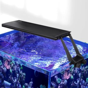 hygger Clip On 24/7 Saltwater Aquar...