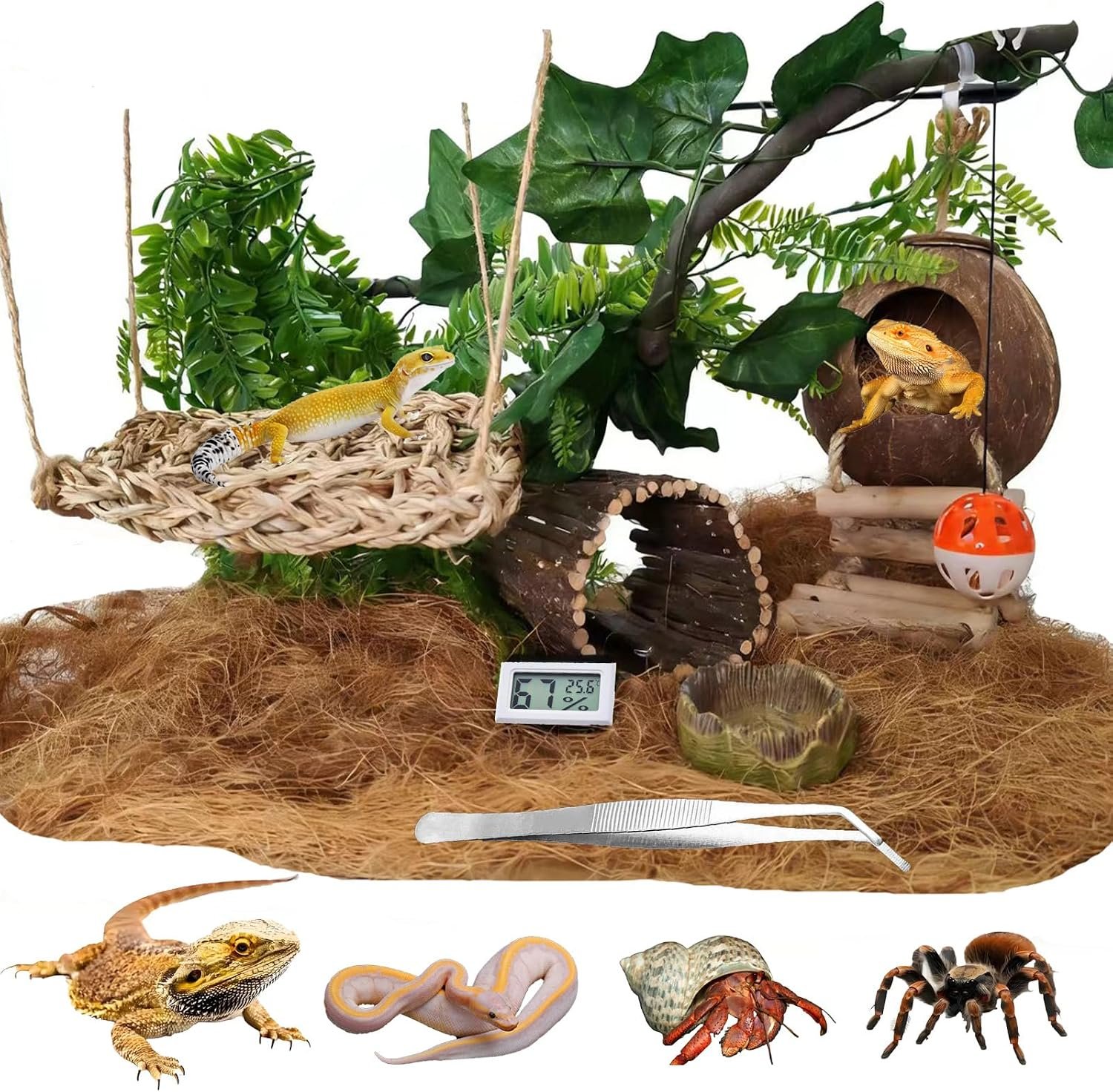 TEICCI 20-Piece Bearded Dragon Tank...