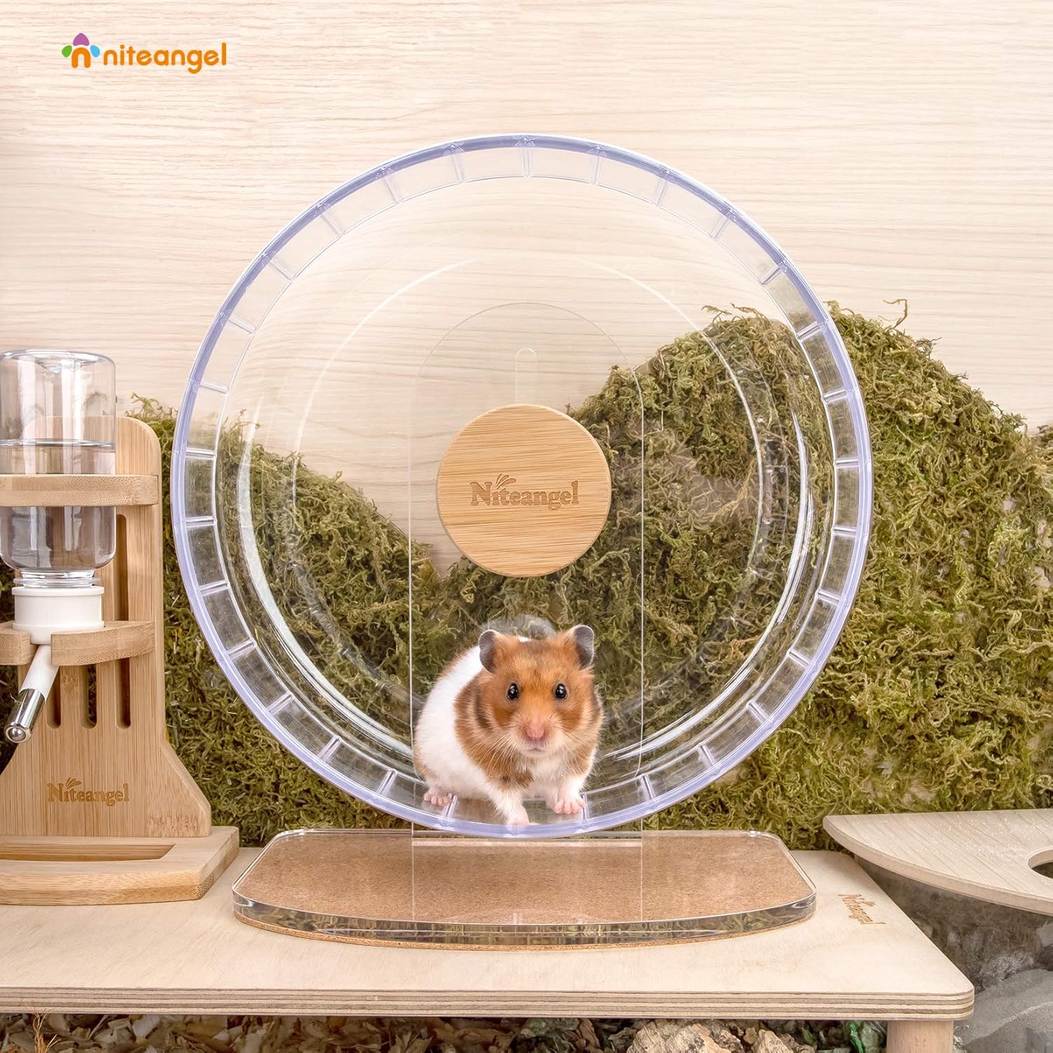 Niteangel Super-Silent Hamster Exercise Wheels - Quiet Spinner Hamster Running Wheels with Adjustable Stand for Hamsters Gerbils Mice Or Other Small Animals (M, Transparent) | Can 10.6-13.4" Adjustable Height - No Bend Back Spinner Running for Dwarf Syrian Hamster Gerbils Mice Or Other Small Animal - Image 4