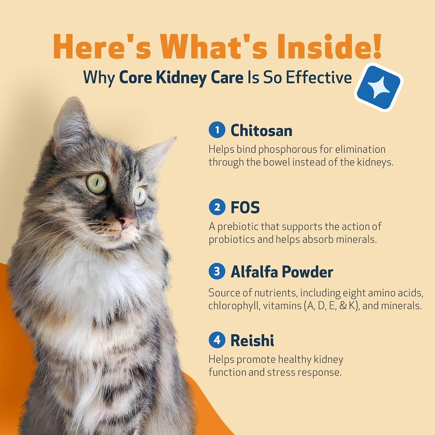 Pet Wellbeing Core Kidney Care for Cats - Daily Phosphate Binder, Supports Healthy Kidney Function with FOS, Chitosan, Probiotics - Veterinarian-Formulated 5.08 oz (144 g) Powder - Image 7