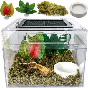Reptile Terrarium, Jumping Spider E...