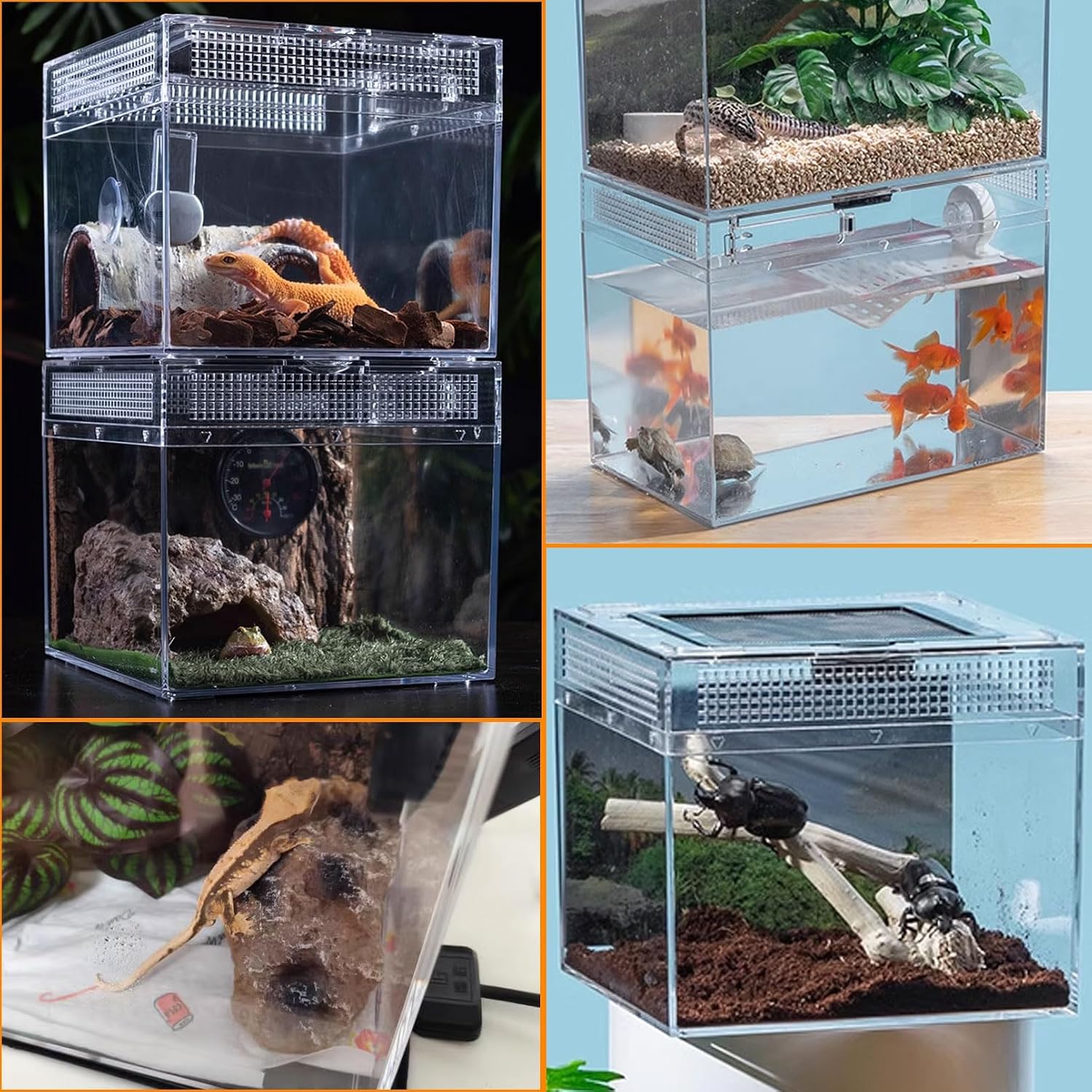 Reptile Terrarium, Jumping Spider Enclosure Starter Kit, Leopard Gecko Habitat Container, 8"x8"x6"Reptile Tank for Tarantula, Hermit Crab, Insect, Fish, Frog, Small Bearded Dragon, Lizard - Image 9