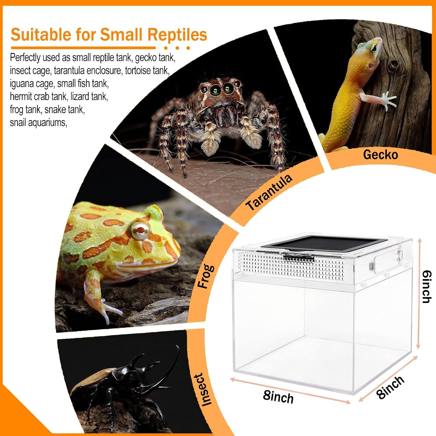 Reptile Terrarium, Jumping Spider Enclosure Starter Kit, Leopard Gecko Habitat Container, 8"x8"x6"Reptile Tank for Tarantula, Hermit Crab, Insect, Fish, Frog, Small Bearded Dragon, Lizard - Image 7