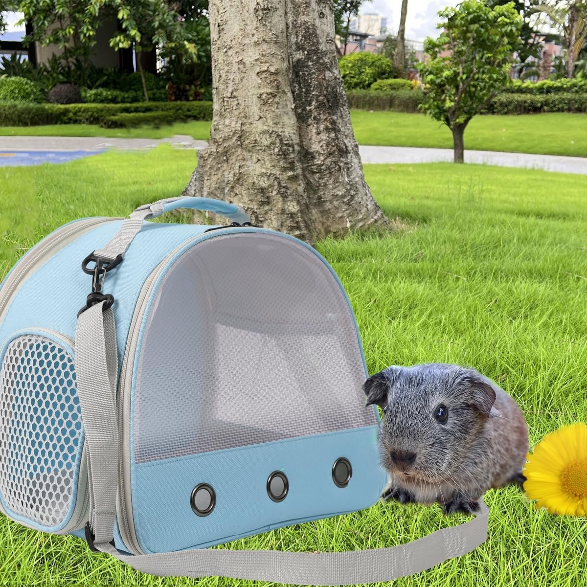 Ventilation Cage,Bearded Dragon Travel Carrier,Guinea Pig Carrier,Guinea Pig Bag for 2,Reptile Travel Carrier for Lizards Sugar Glider Hedgehog Rat Parrot Birds,Airline Approved (Blue, Mesh Carrier) - Image 6